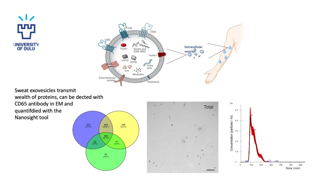 Graafinen kuvaus uutisen aiheeseen liittyen hien mukana kulkeutuvien molekyylien mittaamisesta.